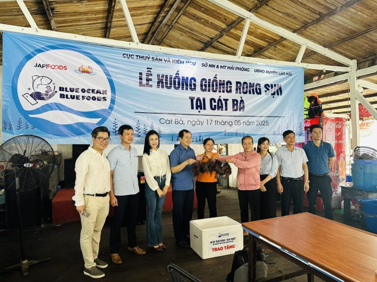 nguồn cung seamoss